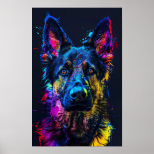 Happy Husky Cross mit Kurz-haariger deutscher Schä Poster