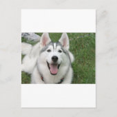 Happy Husky Postkarte (Vorderseite)