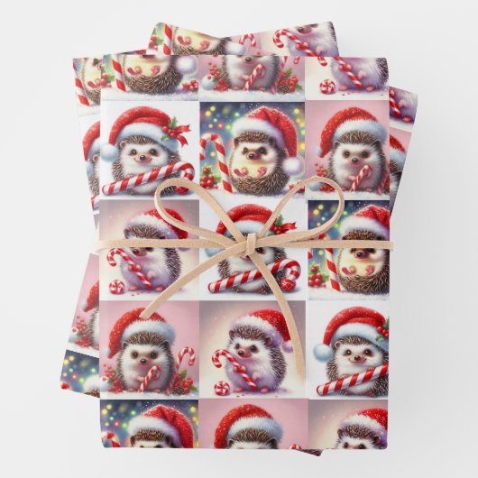 Happy Igel Candy Cane Weihnachtsgeschenk Wrap Geschenkpapier Set (Beispiel)