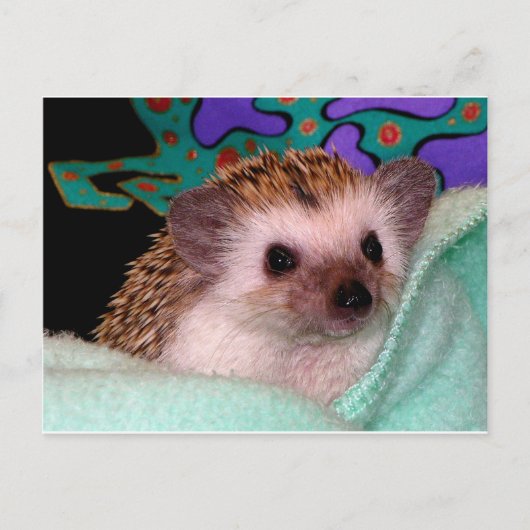 Happy Igel Postkarte (Vorderseite)