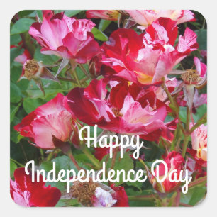 Happy Independence Day 4. Juli Rose #2 Aufkleber