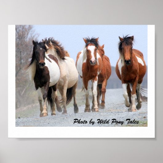 Happy Joggers Poster (Vorne)