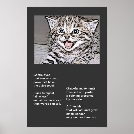 Happy Kitten Fotocopy Effects Poster (Vorne)