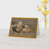 Happy Kitty Karte (Gelbe Blume)