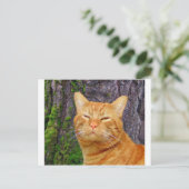 Happy Kitty Kat! Postkarte (Stehend Vorderseite)