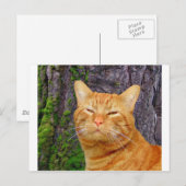 Happy Kitty Kat! Postkarte (Vorne/Hinten)