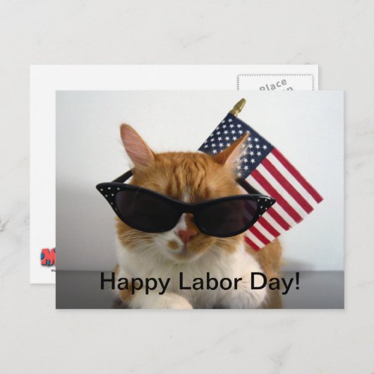 Happy Labour Day Cool Cat mit Flag Postcard Postkarte (Vorne/Hinten)