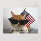 Happy Labour Day Cool Cat mit Flag Postcard Postkarte (Vorderseite)