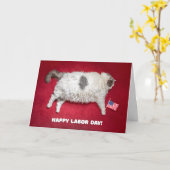 Happy Labour Day Funny Fat Cat Karte (Gelbe Blume)