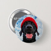 Happy Labrador in einer Roten Beanie Unter blauem  Button (Vorne & Hinten)