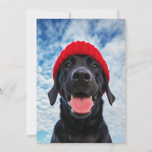 Happy Labrador in einer Roten Beanie Unter blauem  Einladung