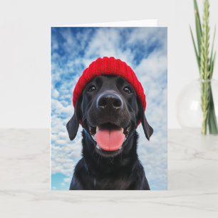 Happy Labrador in einer Roten Beanie Unter blauem  Einladung