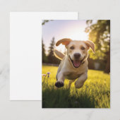 Happy Labrador Puppy Running Dankeskarte (Vorne/Hinten)