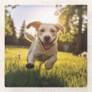 Happy Labrador Puppy Running Glasuntersetzer