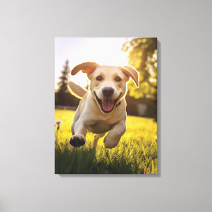 Happy Labrador Puppy Running Leinwanddruck