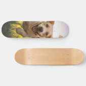 Happy Labrador Puppy Running Skateboard (Horizontal)