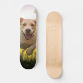 Happy Labrador Puppy Running Skateboard (Vorderseite)