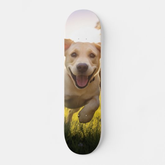 Happy Labrador Puppy Running Skateboard (Vorderseite)