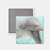 Happy Lächeln Dolphin Magnet (Vorderseite/Rückseite)