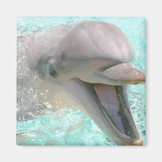 Happy Lächeln Dolphin Magnet (Vorne)