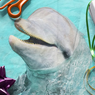Happy Lächeln Dolphin Seidenpapier