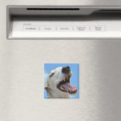 Happy Lächeln Greyhound Face Closeup Magnet (In Situ (Geschirrspüler))