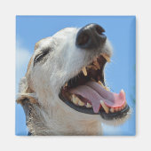 Happy Lächeln Greyhound Face Closeup Magnet (Vorne)