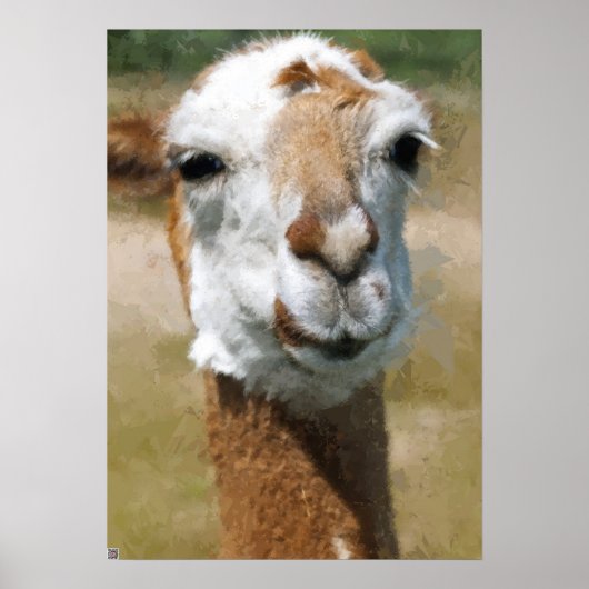Happy Lama, Maleffekt Poster (Vorne)