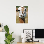 Happy Lama, Maleffekt Poster (Heimbüro)
