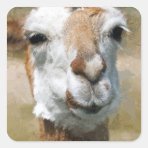 Happy Lama, Maleffekt Quadratischer Aufkleber