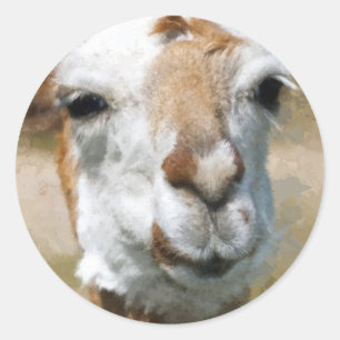 Happy Lama, Maleffekt Runder Aufkleber