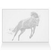 Happy Leaping Horse (Innenansicht Horizontal (Oben))
