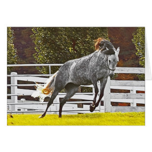Happy Leaping Horse