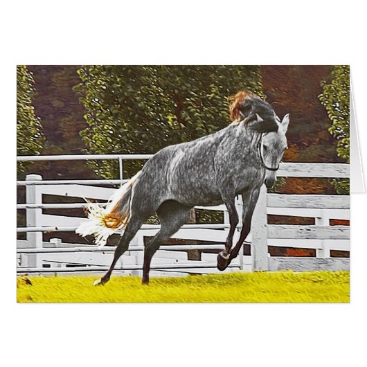 Happy Leaping Horse (Vorderseite (Horizontal))