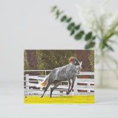 Happy Leaping Horse Postkarte (Stehend Vorderseite)