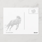 Happy Leaping Horse Postkarte (Rückseite)