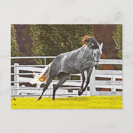Happy Leaping Horse Postkarte (Vorderseite)