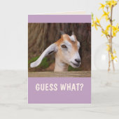 Happy Little Goat Birthday Karte (Gelbe Blume)