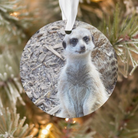 Happy Little Meerkat Ornament (Baum)
