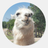 Happy Llama Runder Aufkleber (Vorderseite)