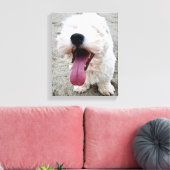 Happy Malteese Puppy Leinwanddruck (Insitu (Wohnzimmer))