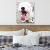 Happy Malteese Puppy Leinwanddruck (Insitu (Schlafzimmer))