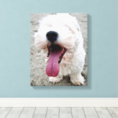 Happy Malteese Puppy Leinwanddruck (Insitu (Holzboden))