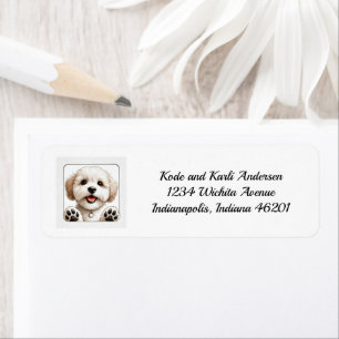 Happy Maltipoo Rücksendeadresse