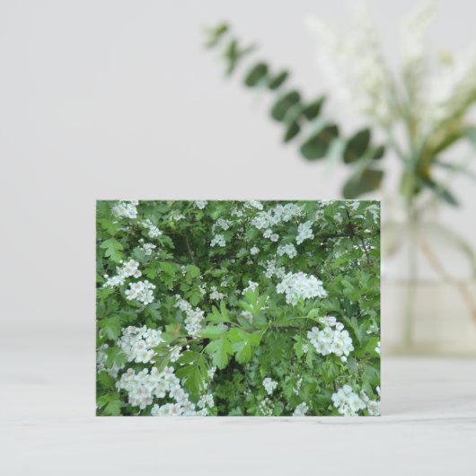 Happy May Day Postcard mit Hawthorn Bloom Postkarte (Stehend Vorderseite)