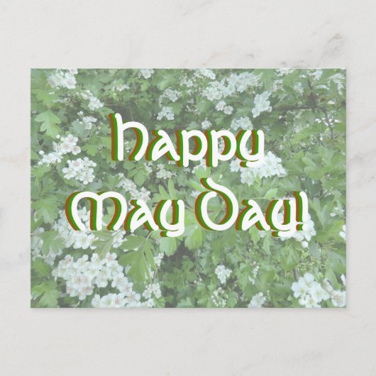 Happy May Day Postcard mit Hawthorn Bloom Postkarte (Vorderseite)