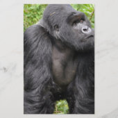 Happy Monkey Briefpapier (Vorderseite)