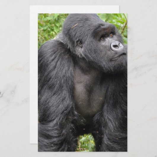 Happy Monkey Briefpapier (Vorne/Hinten)