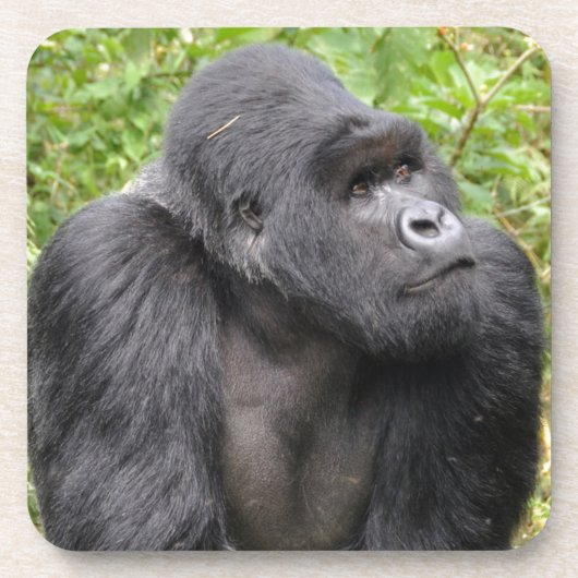 Happy Monkey Getränkeuntersetzer (Vorderseite)