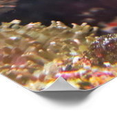 Happy Moray Cleaning Poster (Ecke)